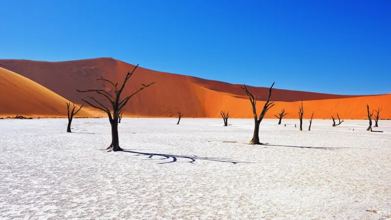Dune del Namib in Namibia - onde di sabbia rossa all'alba
